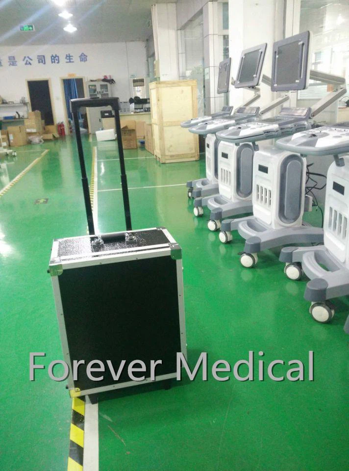 China Ultrasound Transducer 4D Ultrasound Transducer