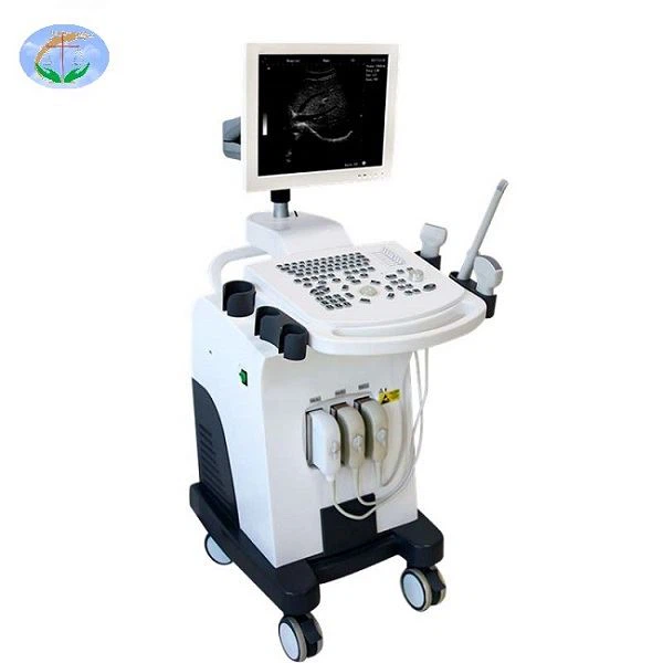 YJ-U370T Verzija potpuno digitalnog ultrazvučnog skenera za laptop