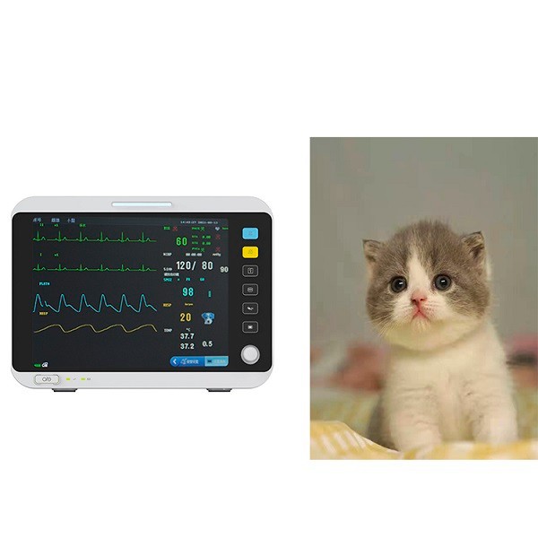 Veterinary Monitor